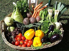 Verduras para bajar de peso