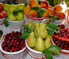 Zumo de 7 frutas y verduras para adelgazar 7 kilos