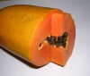 Remedio de papaya para adelgazar con hígado graso