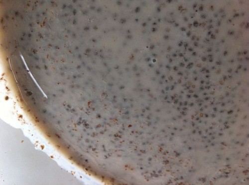 640px-Chia_Seed_Pudding